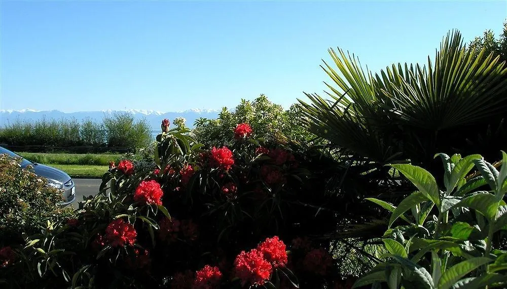 ****  Dashwood Manor Seaside Bed & Breakfast Canada
